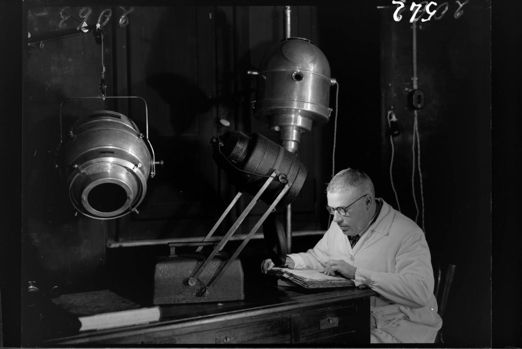 Questa immagine ha l'attributo alt vuoto; il nome del file è 7-GALLO-1024x685.jpg