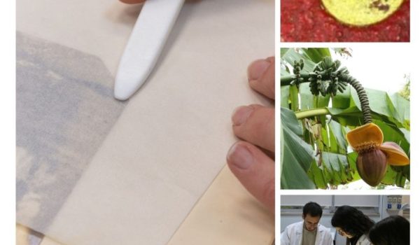 copertina pubblicazione attività 2023